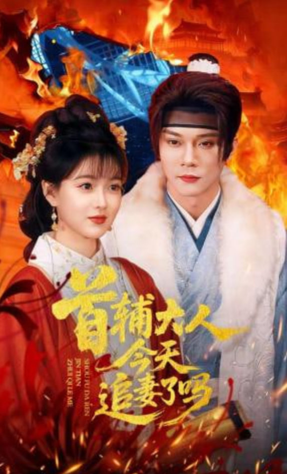 首辅大人今天追妻了吗(全集)