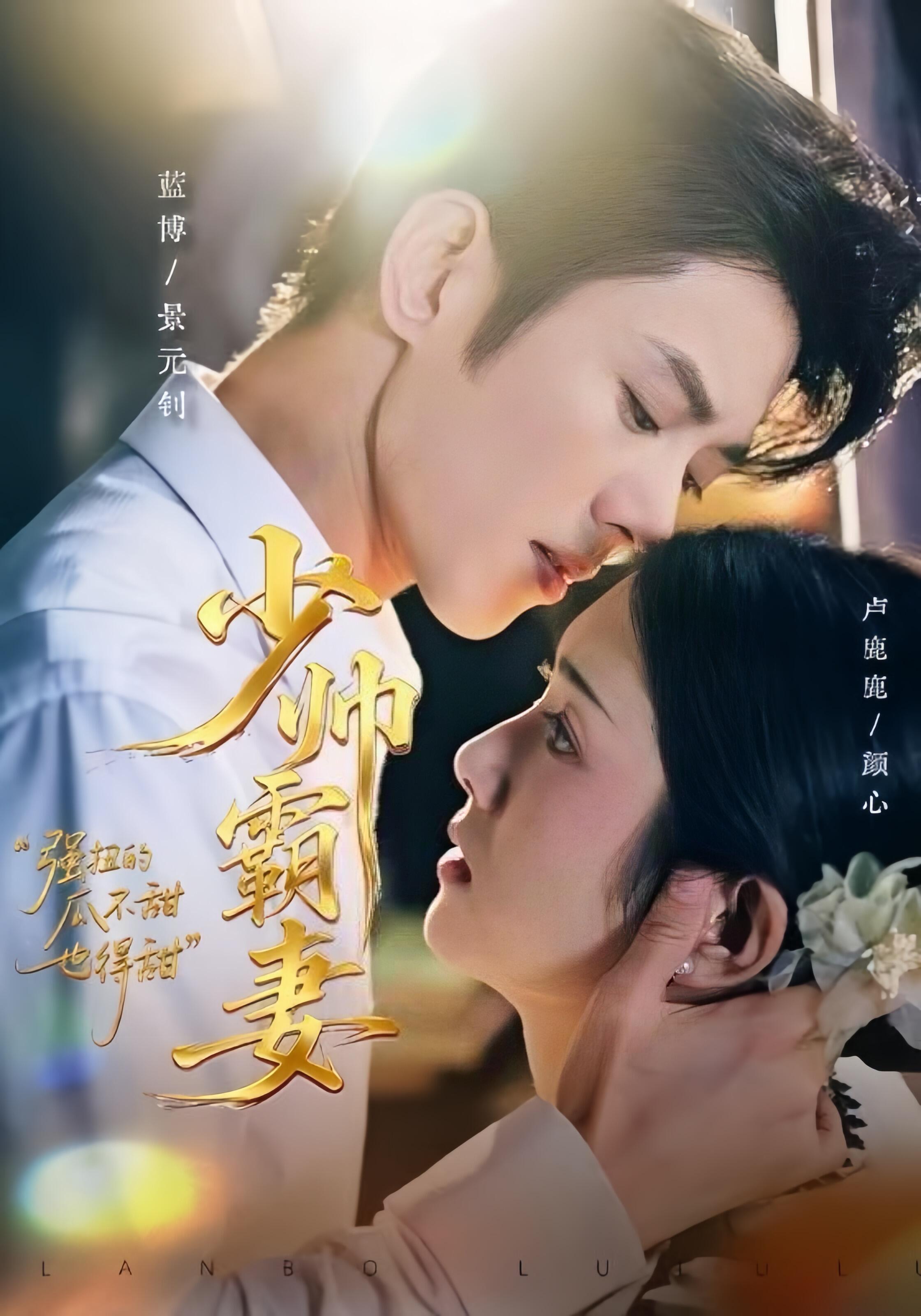 少帅霸妻，强扭的瓜不甜也得甜(全集)